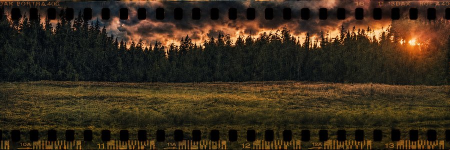Panoramic film-frame photograph of a grassy field and dark tree line at sunset, with the sun glowing through clouds.