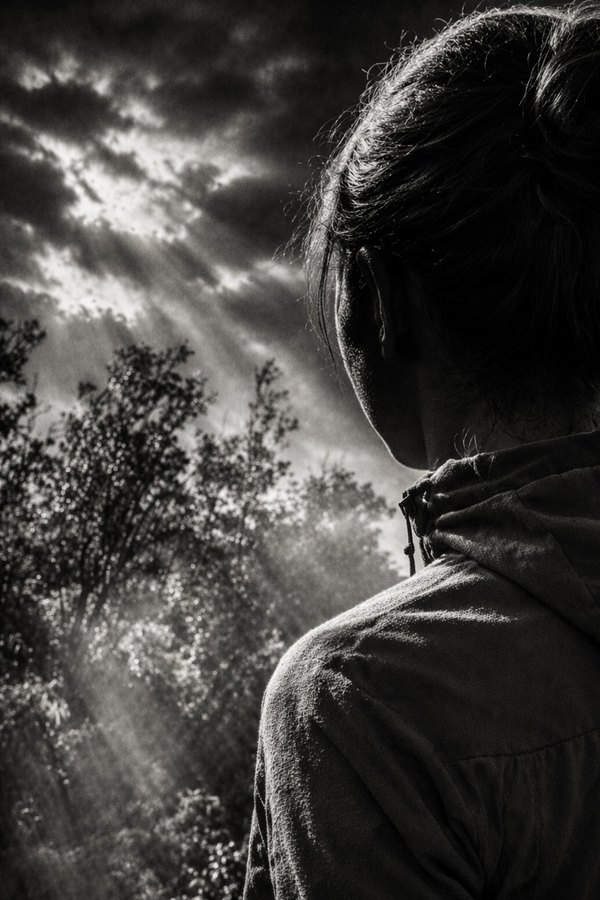 Black-and-white view of a person from behind beneath trees as bright rays of sunlight stream through the branches.