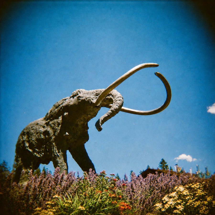 A woolly mammoth sculpture with long curved tusks rises above a flower garden beneath a vivid blue sky.