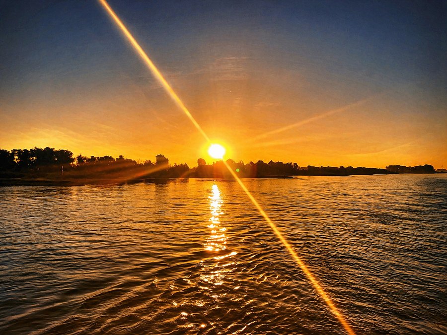 Golden sun setting over rippled water and a distant tree line, crossed by a strong diagonal lens flare.