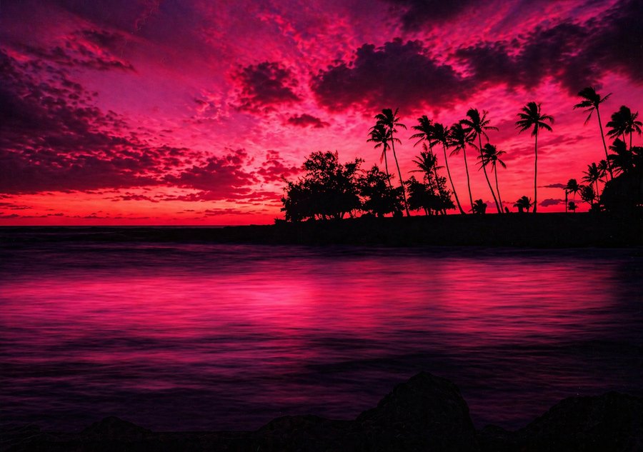 Silhouetted palm trees and a small tropical shoreline against a vivid magenta and pink sunset reflected on the water.