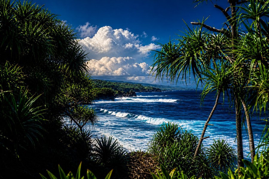 Tropical coastline with white surf and deep blue ocean framed by dark green coastal foliage.